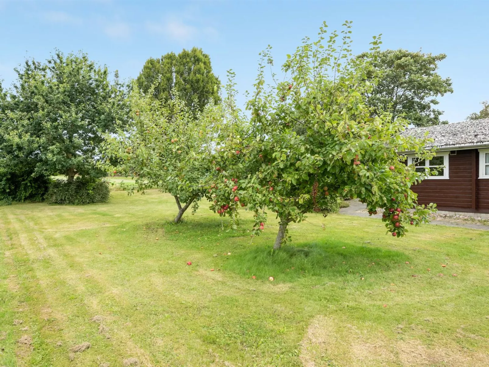 "Gudmunde" - 200m from the sea-Buiten