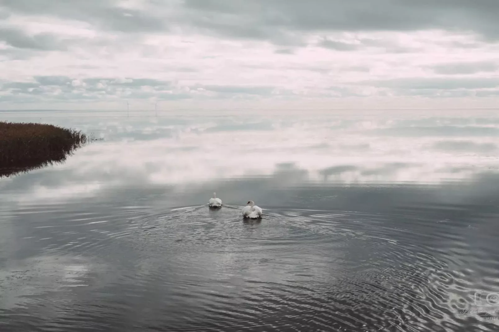 4 persoons vakantie huis in Ringkøbing-By Traum-Waterzicht