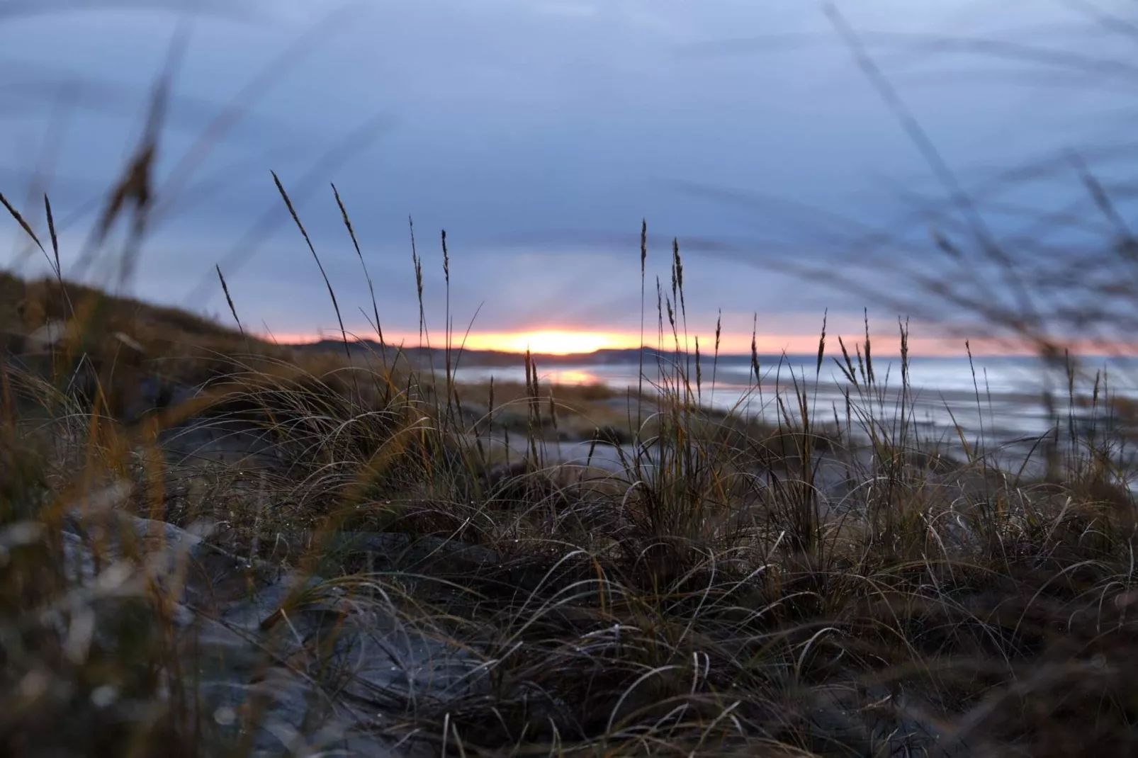 4 sterren vakantie huis in Blokhus-By Traum-Waterzicht