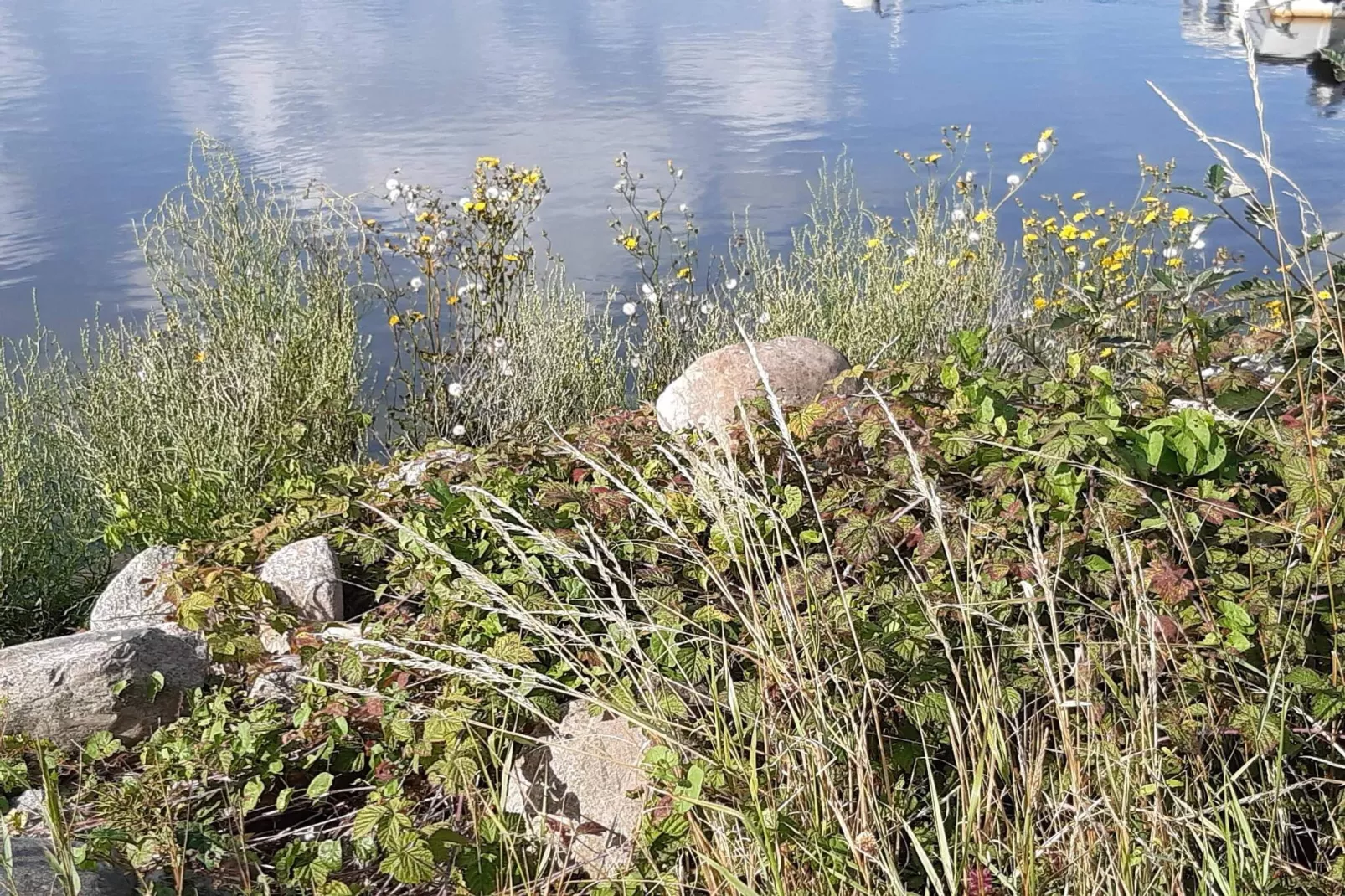 4 sterren vakantie huis in GOTLANDS TOFTA-By Traum-Waterzicht