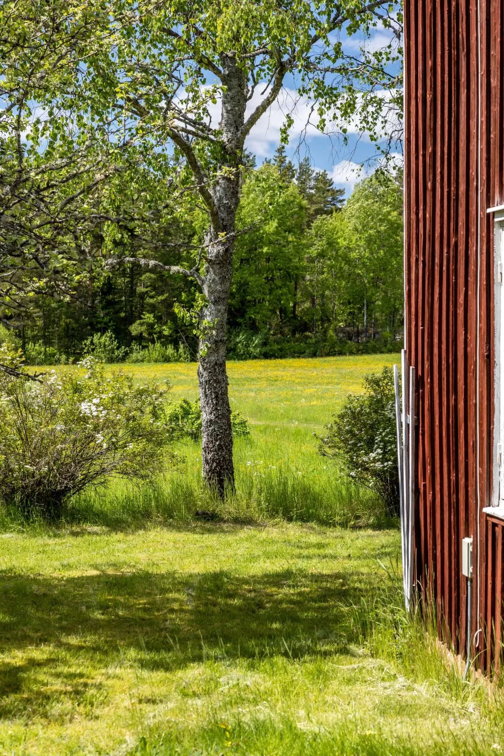 Vassviken-Buiten