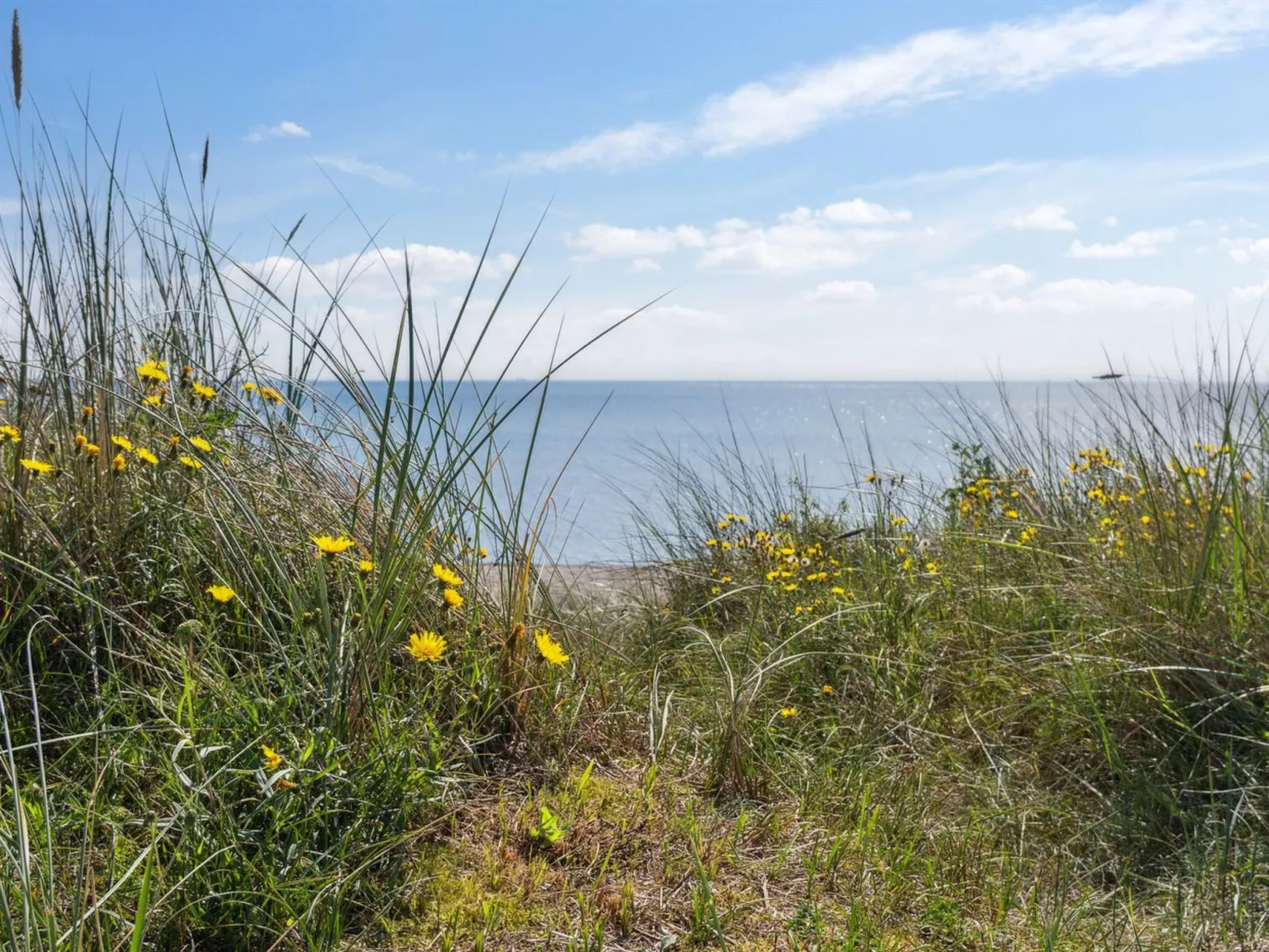 "Rother" - 50m from the sea-Buiten