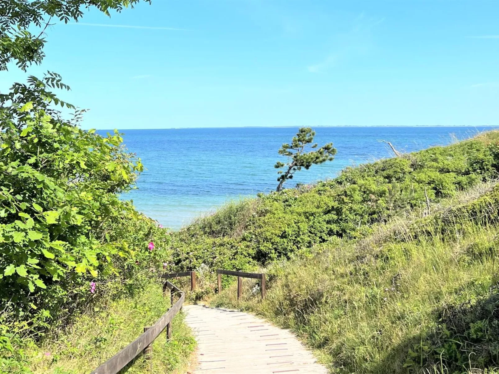 "Aurore" - 1.3km from the sea-Buiten