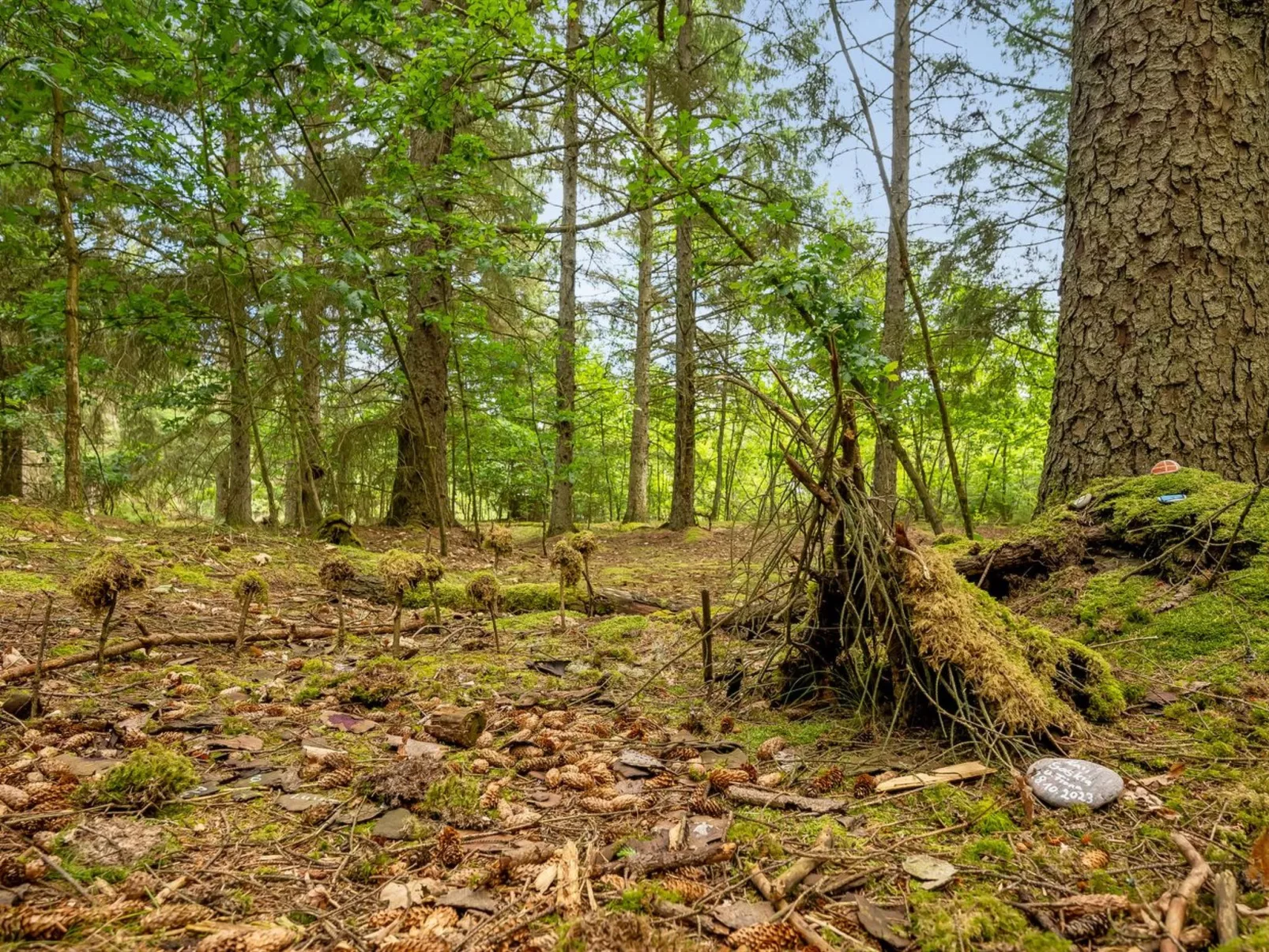 "Sylwia" -  from the sea-Buiten