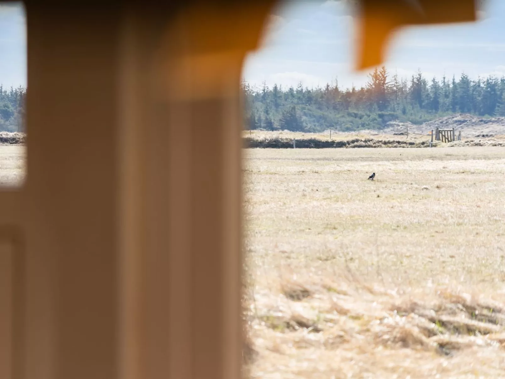 "Tianna" - 500m from the sea-Buiten