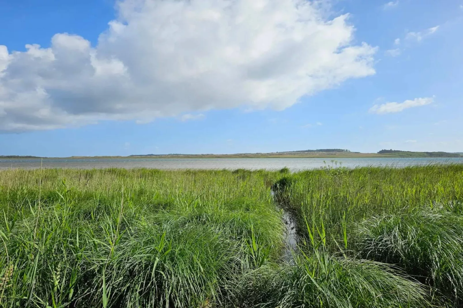 4 sterren vakantie huis in Thisted-By Traum-Waterzicht