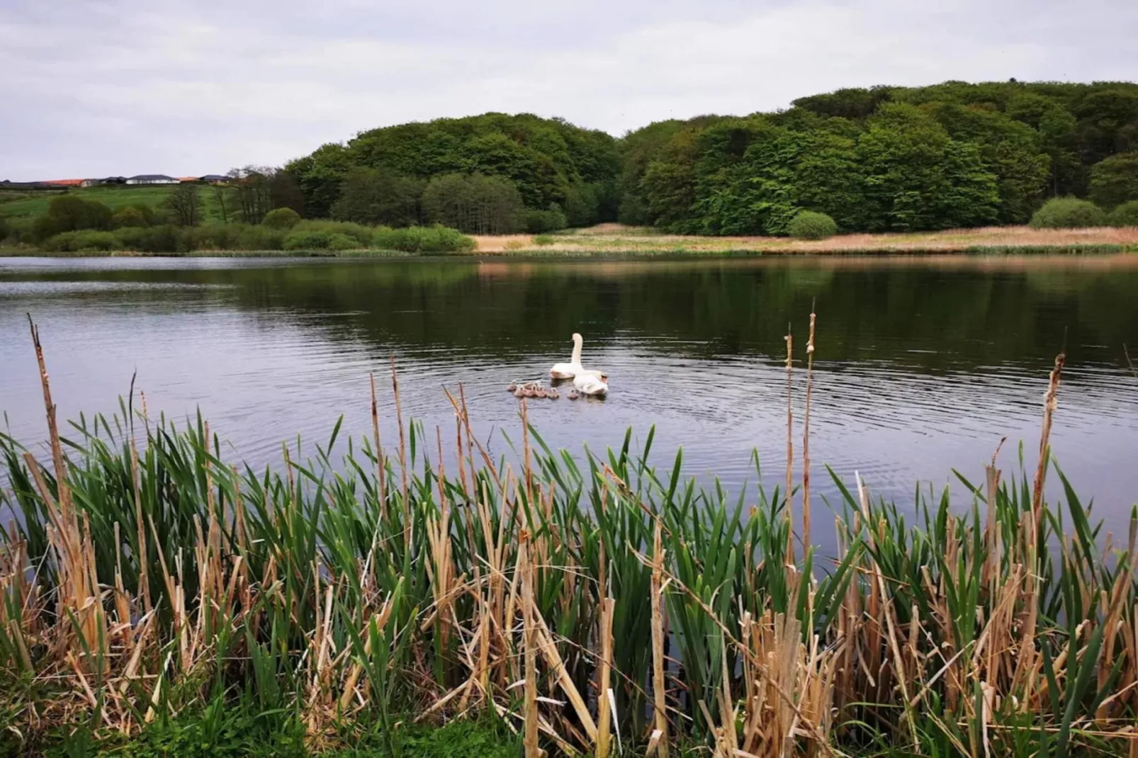 5 sterren vakantie huis in Kolding-Waterzicht