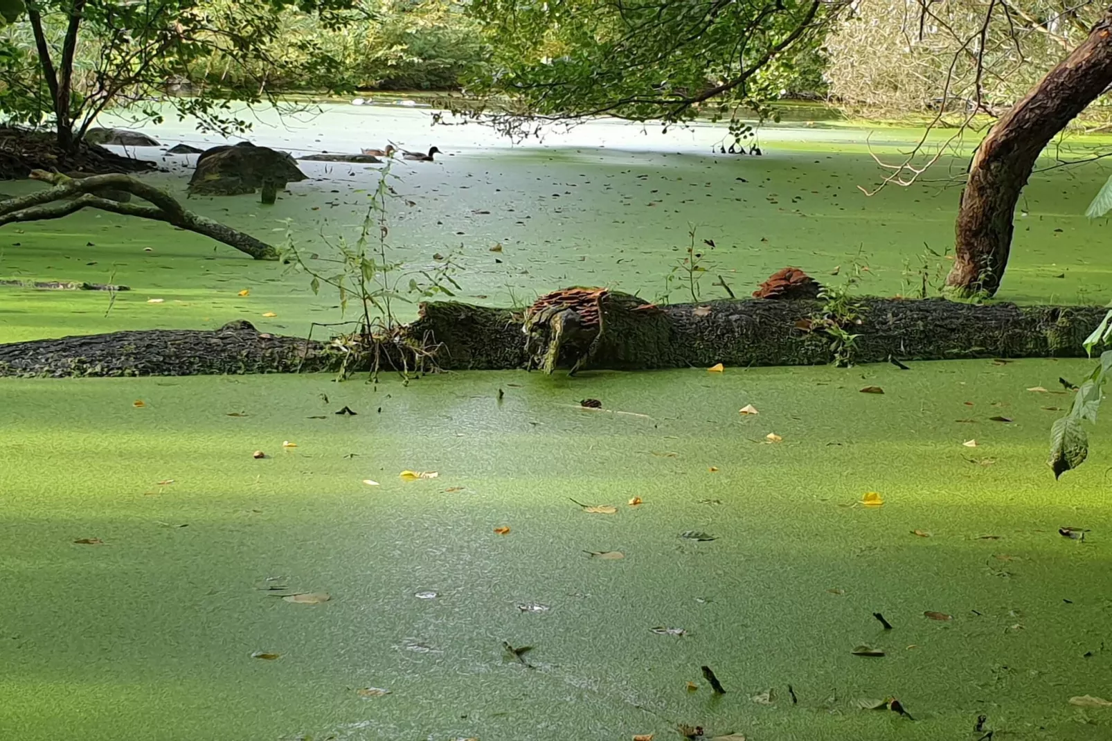 4 persoons vakantie huis in Hadsund-By Traum-Waterzicht