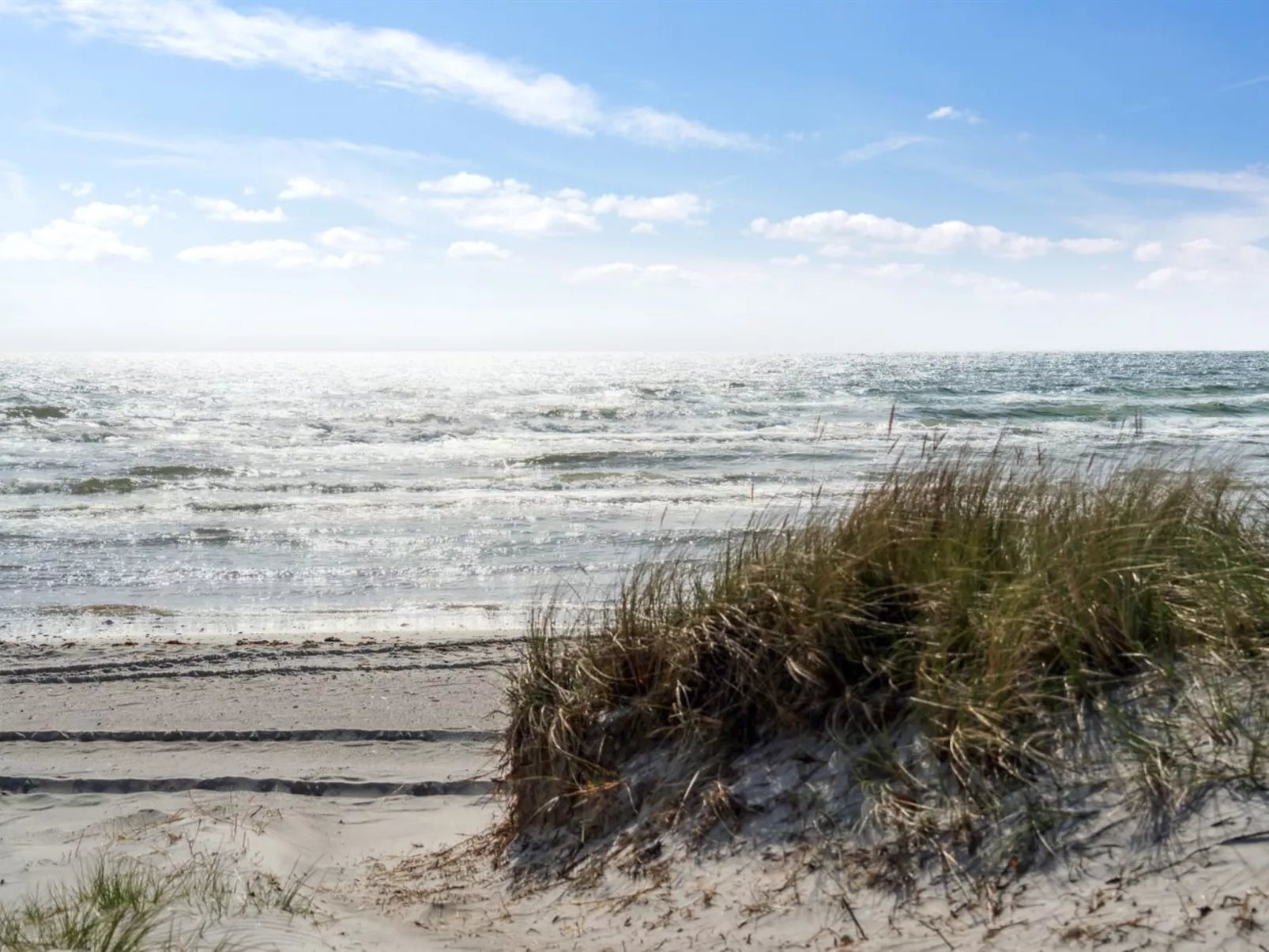 "Baarde" - 60m from the sea-Buiten