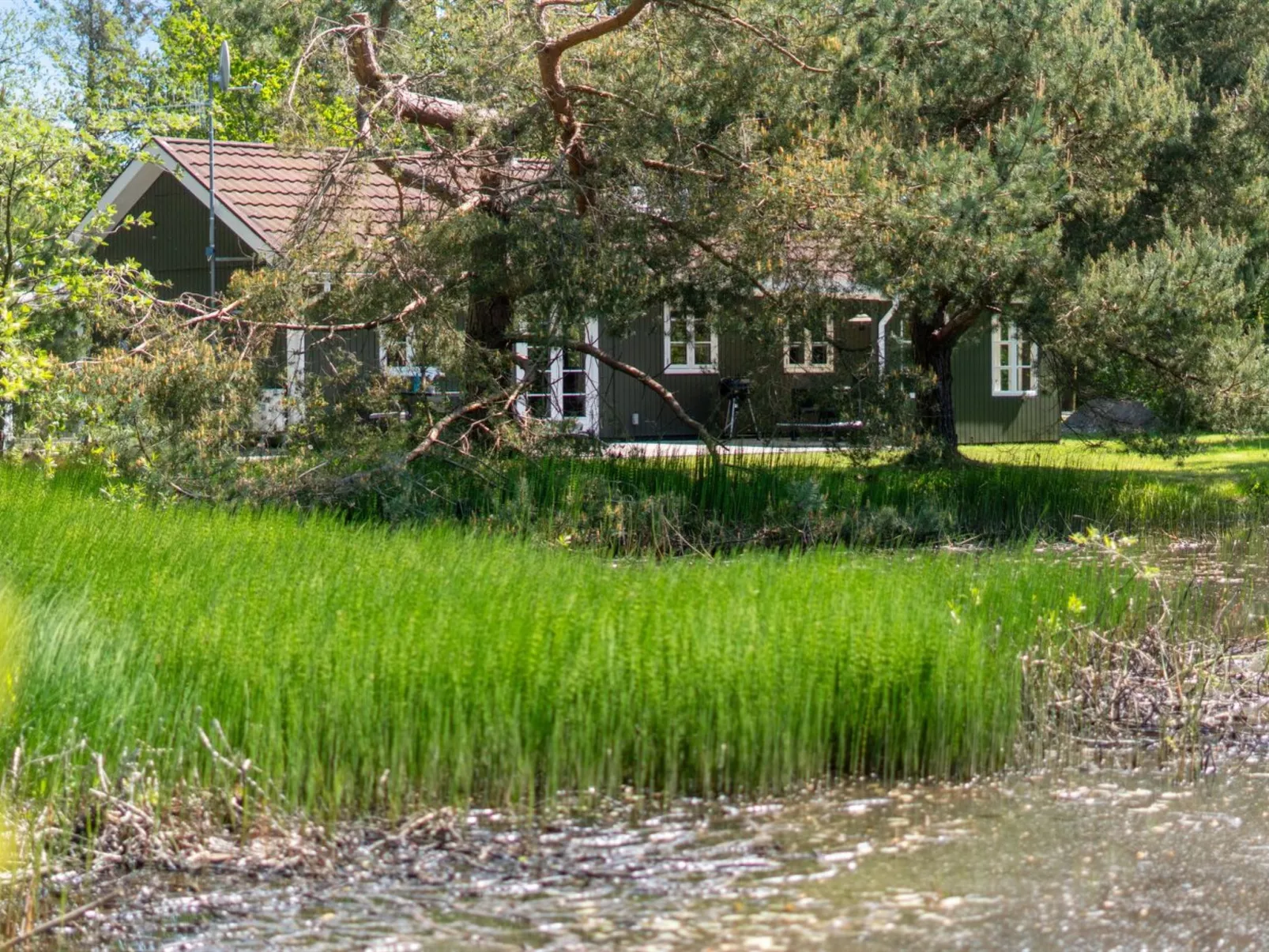 "Smilla" - 300m from the sea-Buiten