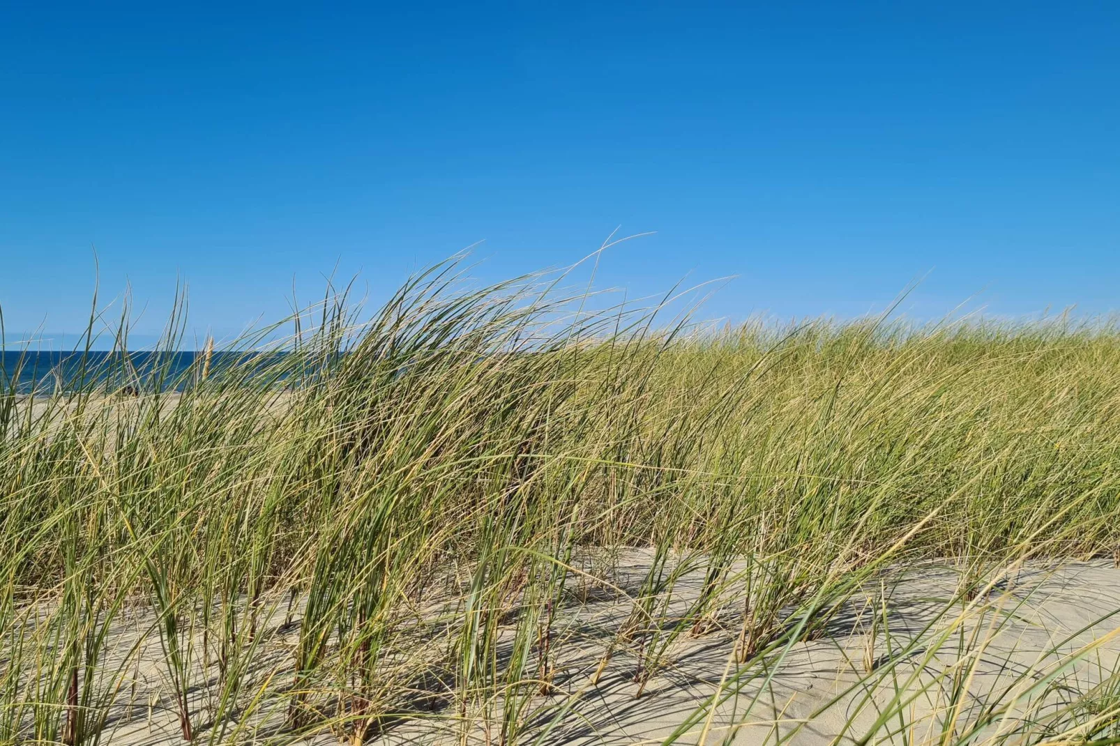 8 persoons vakantie huis in Pandrup-By Traum-Waterzicht