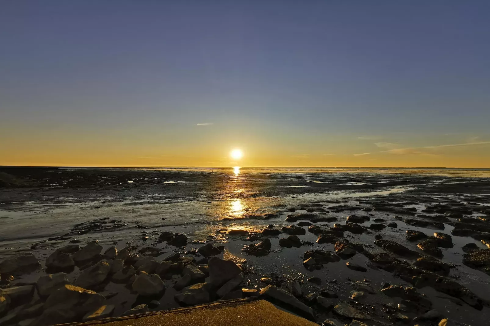 Doppelhaushälfte Nordseerose 125-Gebieden zomer 5km