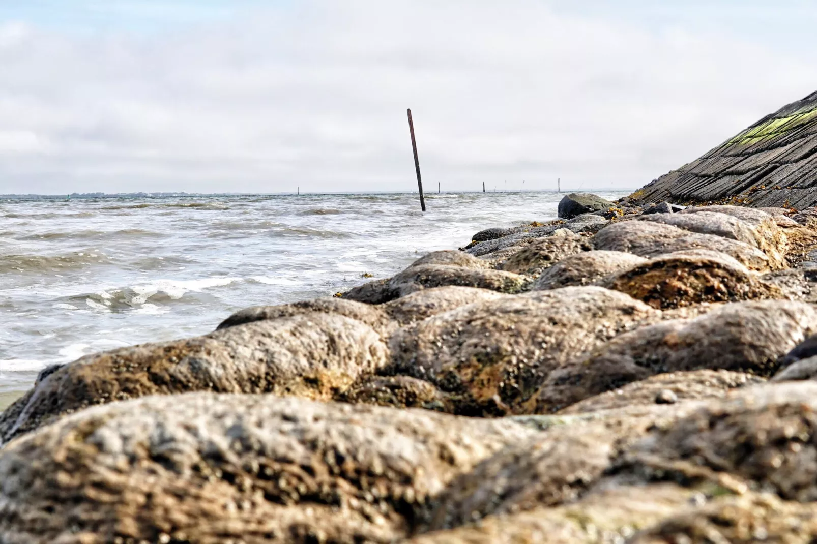 Doppelhaushälfte Wattwurm 34-Gebieden zomer 5km