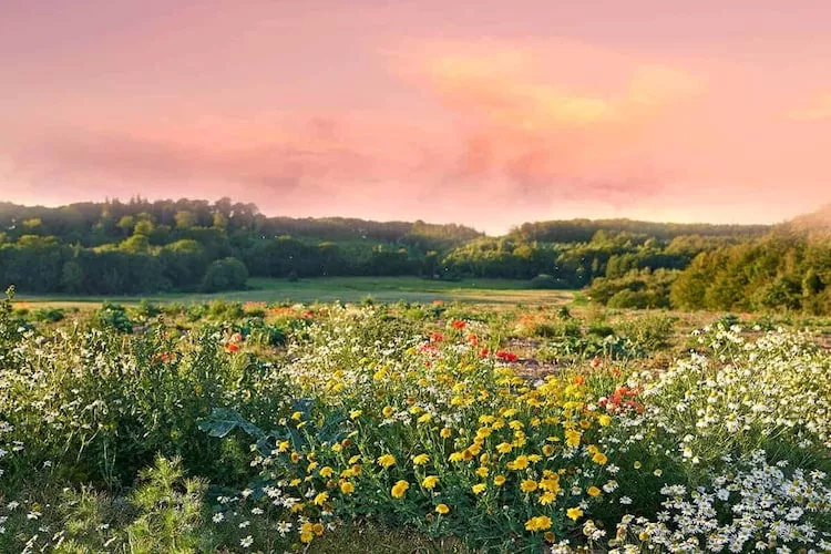 Dom wakacyjny w Szymbarku dla max 12 osób-Gebieden zomer 1km