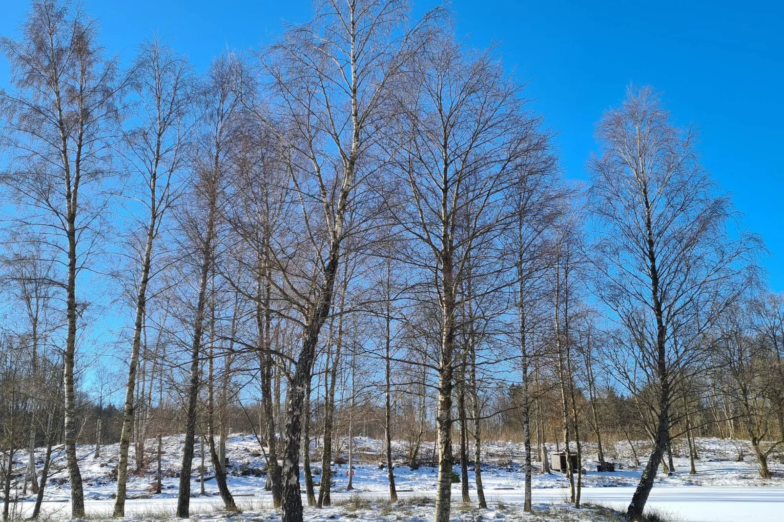 4 persoons vakantiehuis in Hoor-Niet-getagd