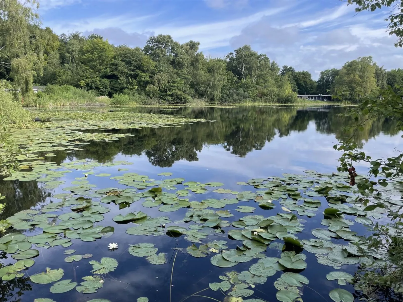 "Iolani" - 1.3km from the sea-Buiten