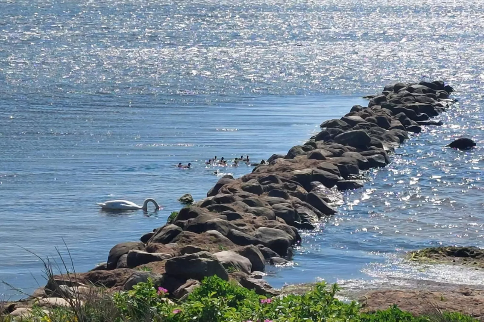 Charmant toevluchtsoord in Ringkobing-Waterzicht