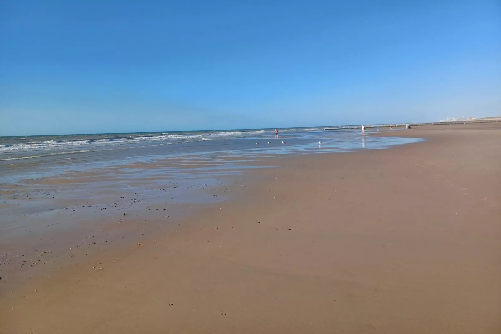 De Rede-Gebieden zomer 5km