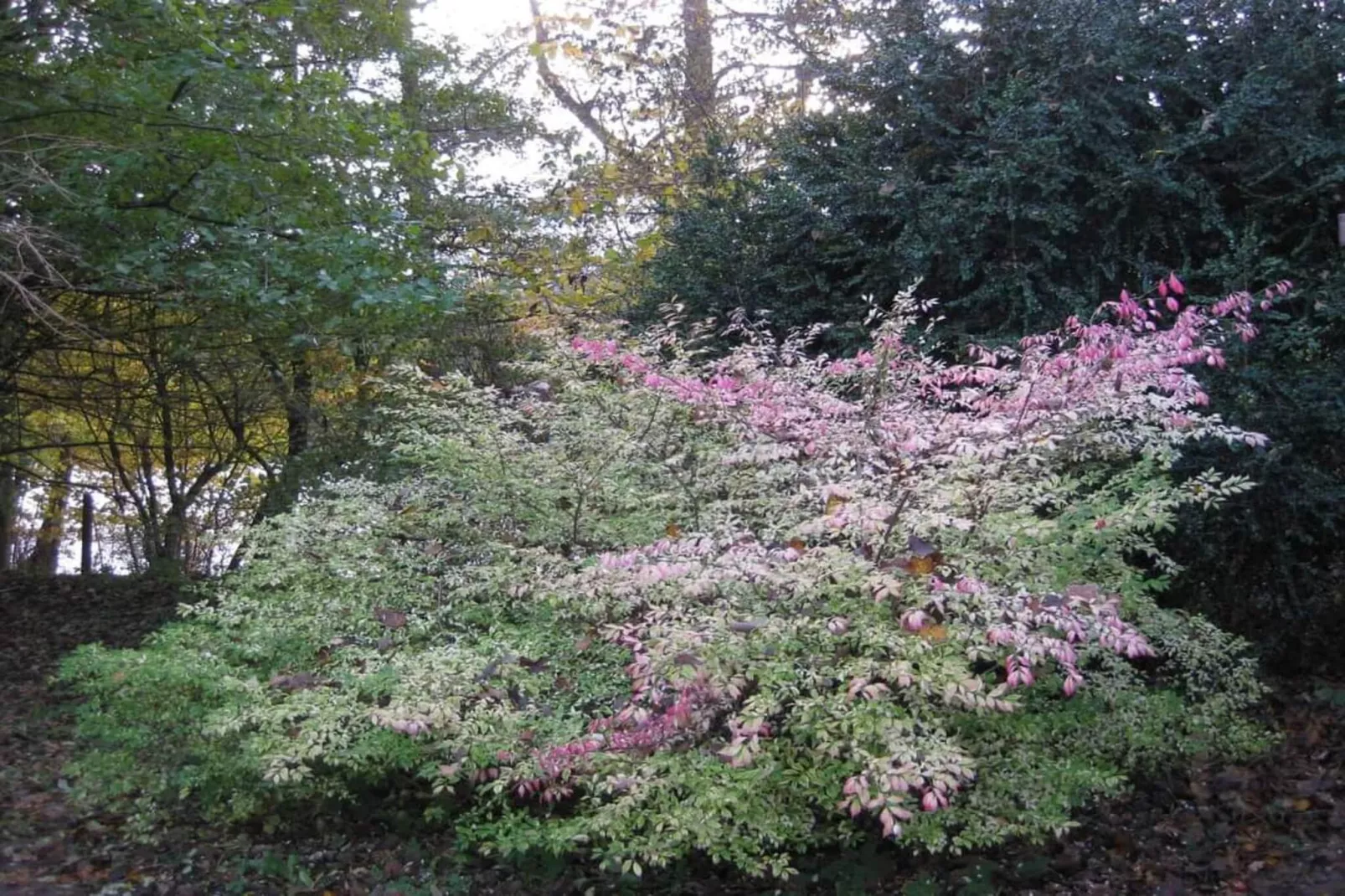 4 sterren vakantie huis in Vedbæk-Niet-getagd