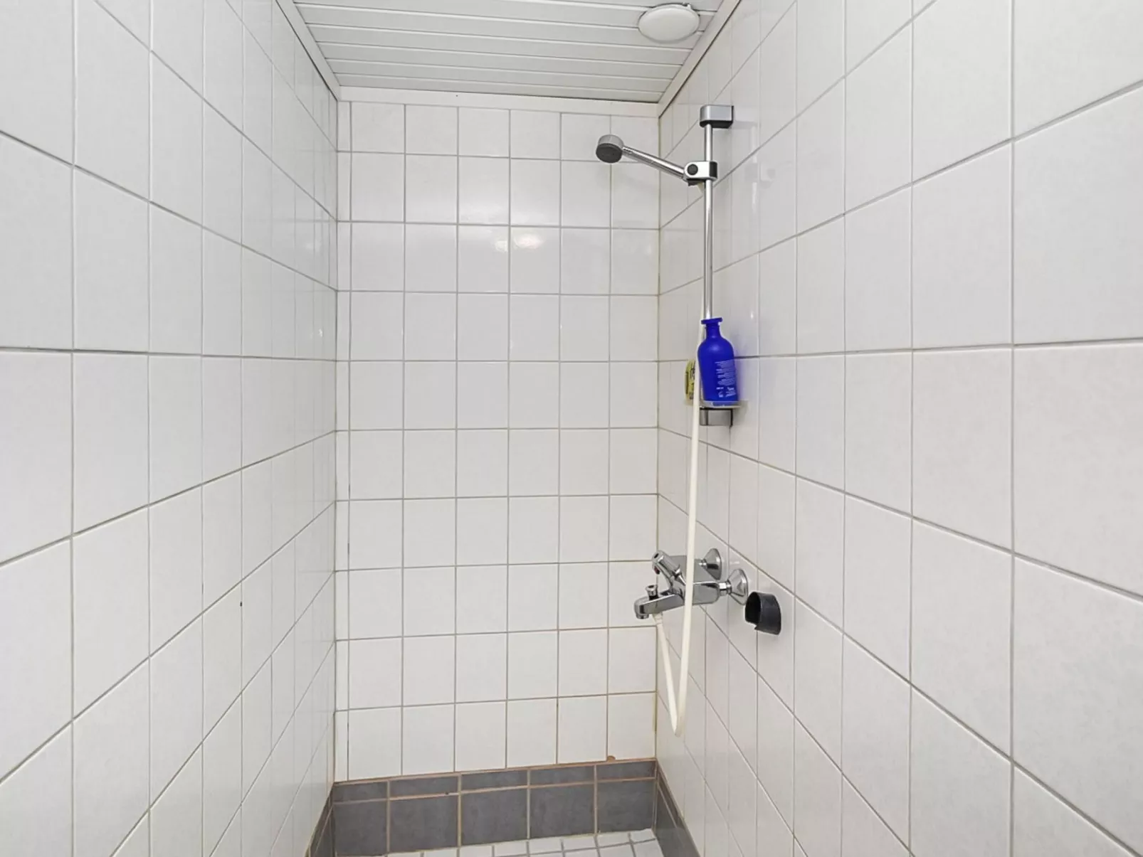 Saapunkijärvi, pitkäperä-Binnen