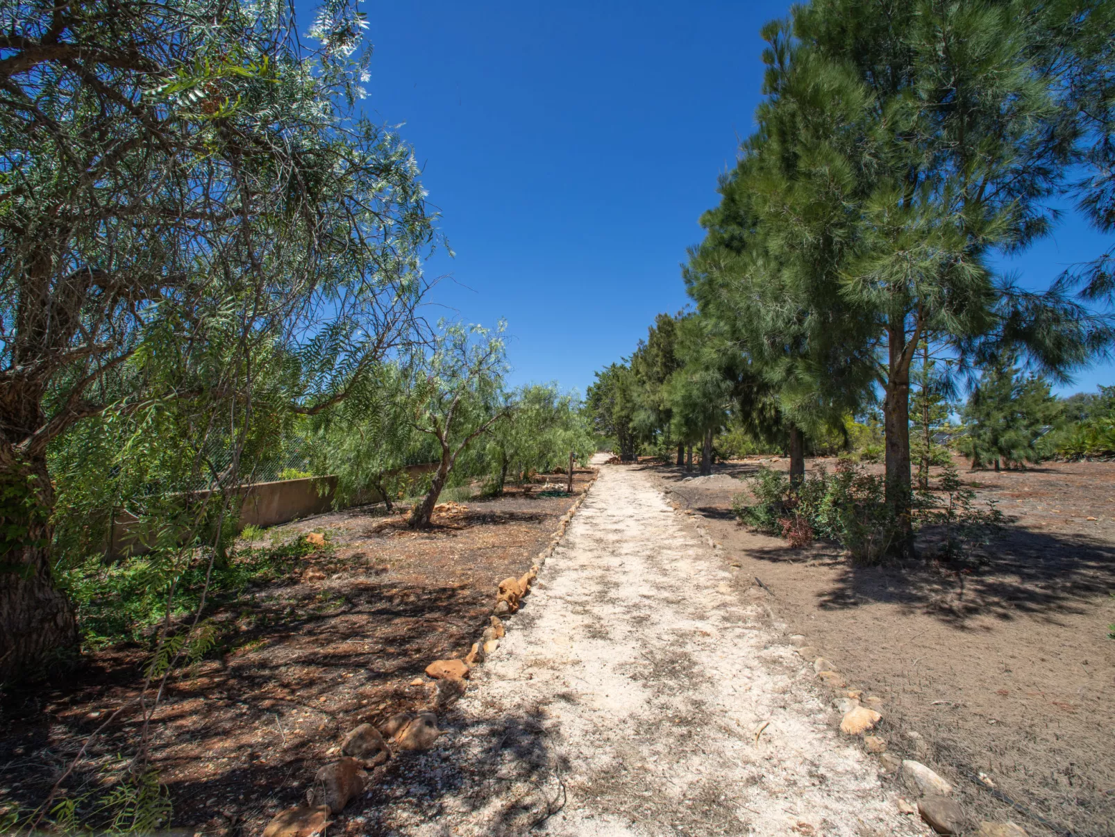 Quinta do Mosaico-Buiten