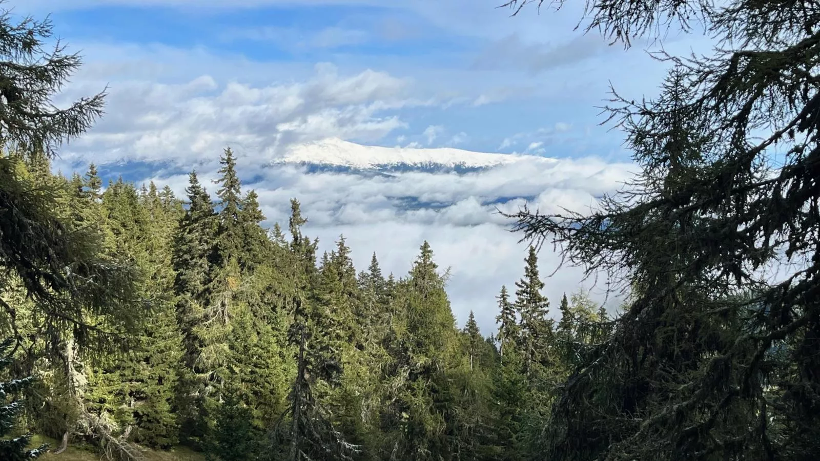 Gipfelglück-Gebied winter 5km