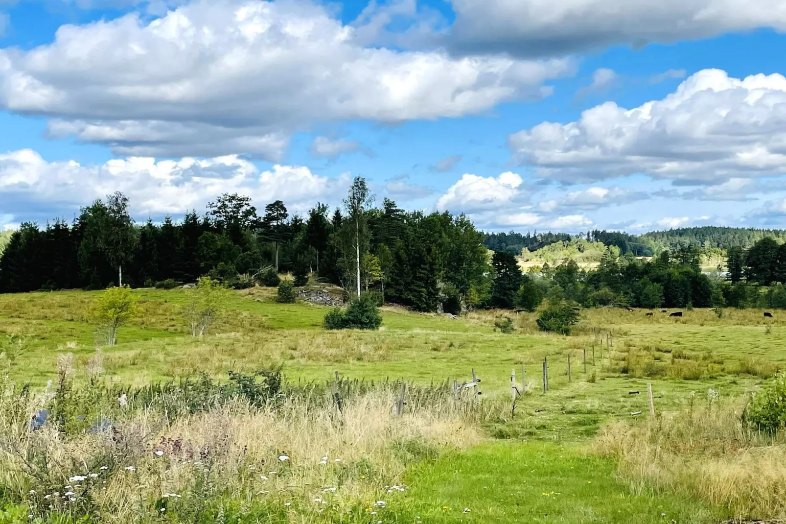 4 Personen vakantie huis in UDDEVALLA-Buitenlucht