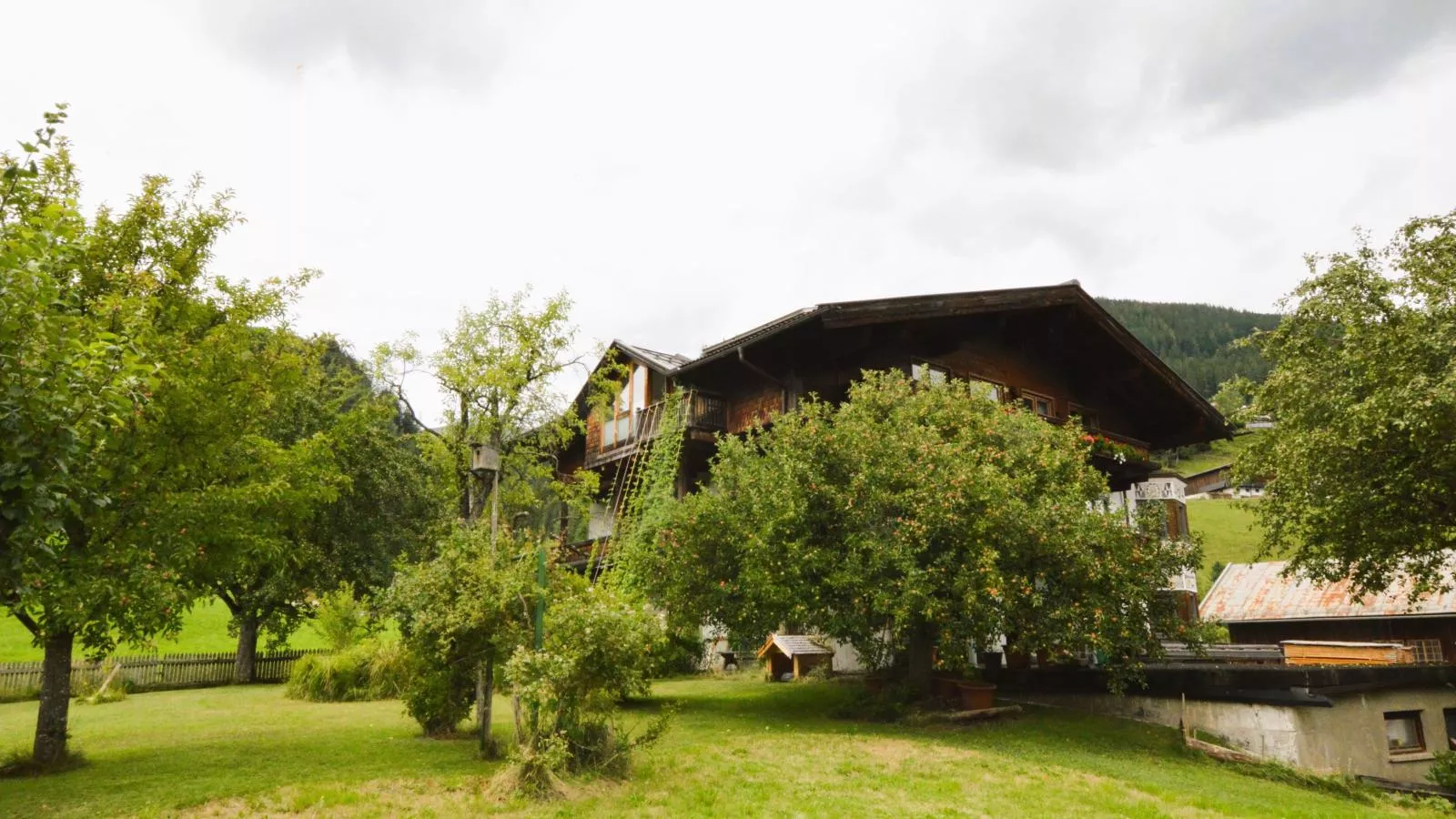 Kaiser-Buitenkant zomer