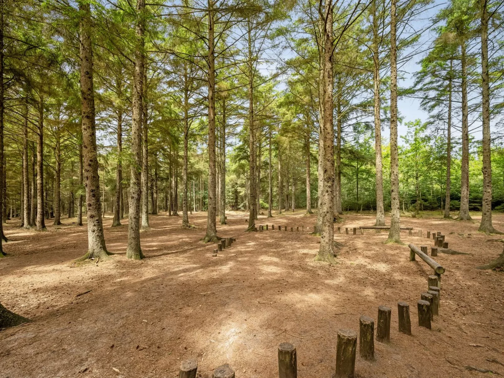 "Kanerva" -  from the sea-Buiten