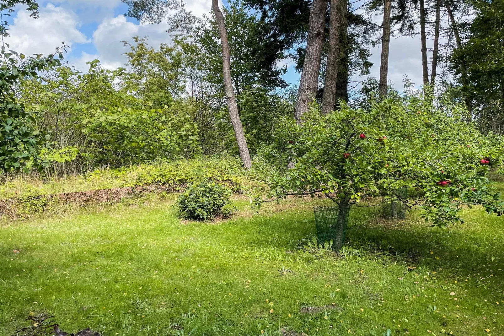 4 Personen vakantie huis in SMEDSTORP