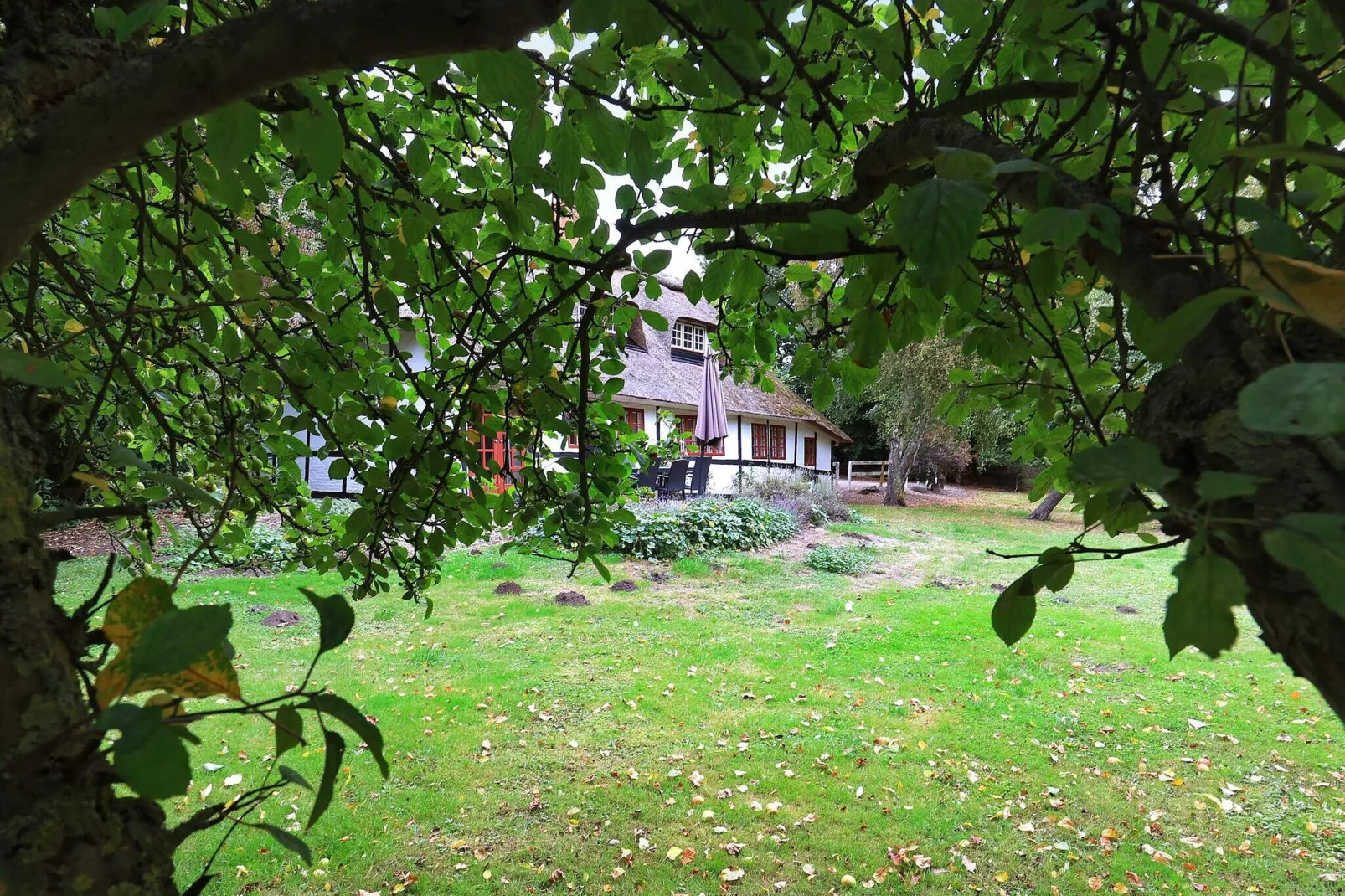 6 persoons vakantie huis in Bagenkop-Uitzicht