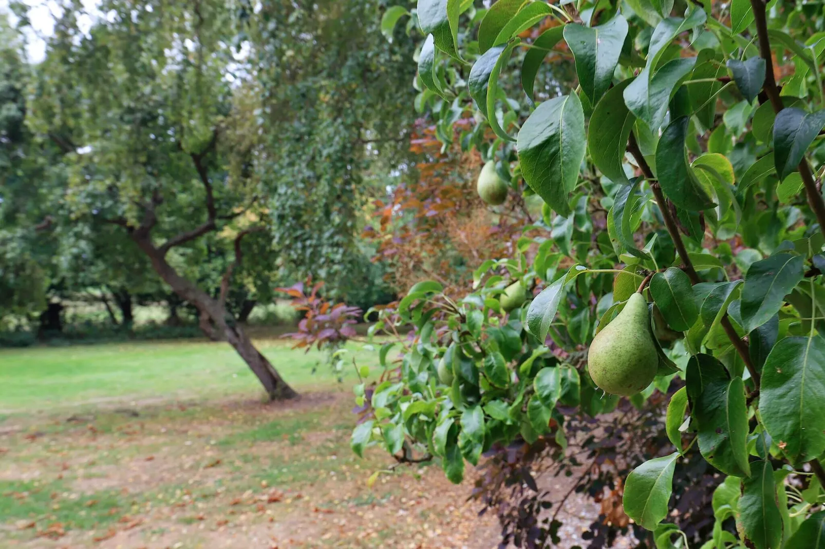 6 persoons vakantie huis in Bagenkop-Uitzicht
