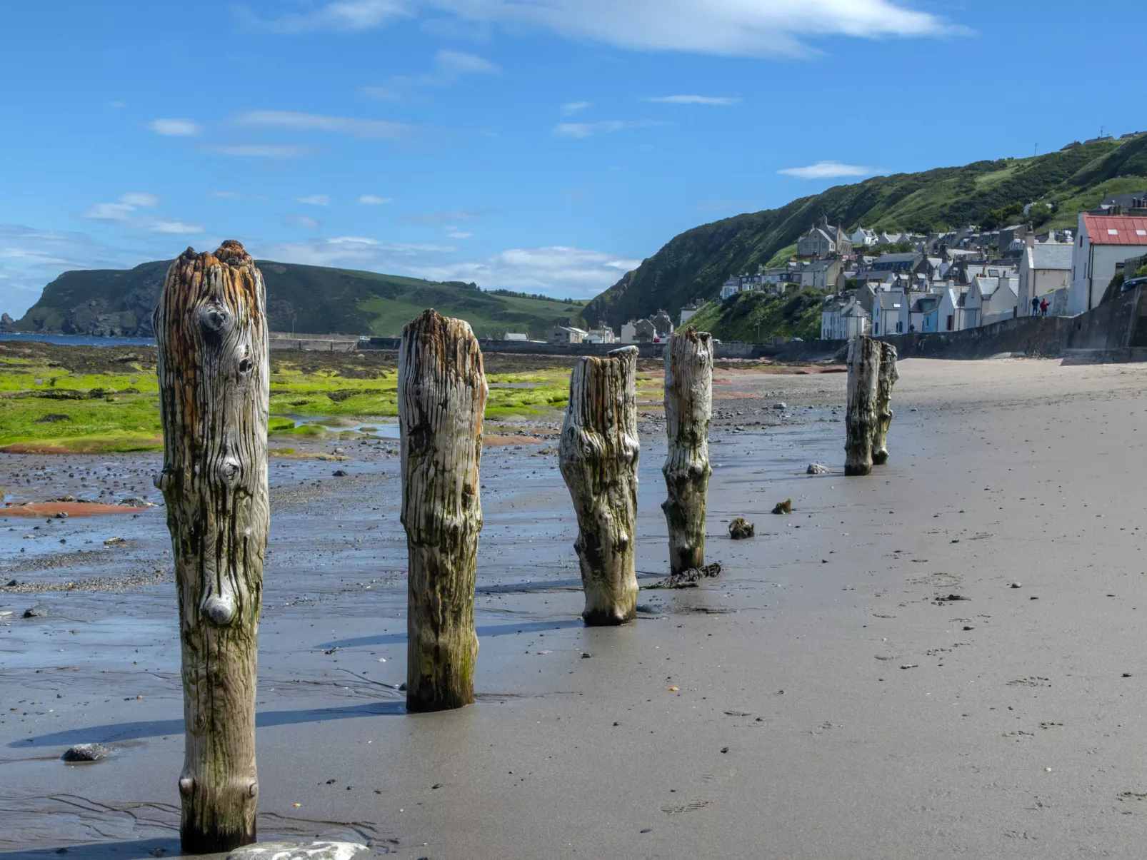 Ellie-Jo Cottage-Buiten
