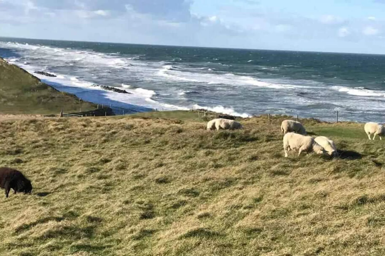 5 sterren vakantie huis in Vejby-Buitenlucht