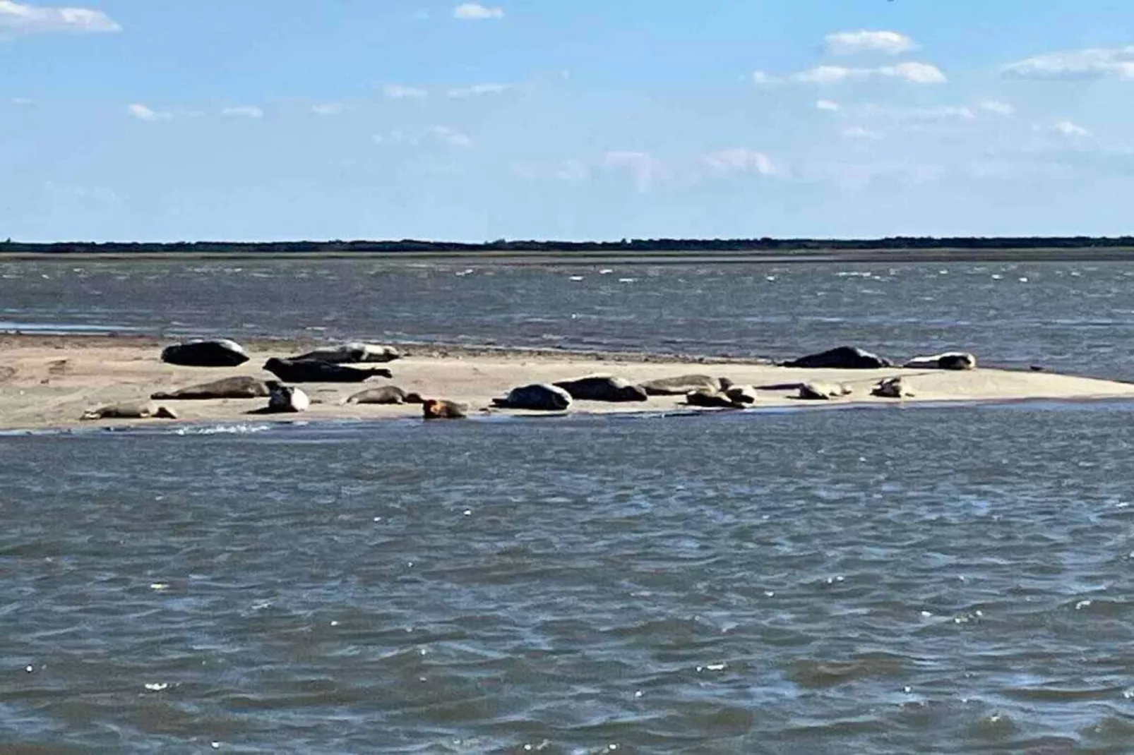 5 sterren vakantie huis in Fanø