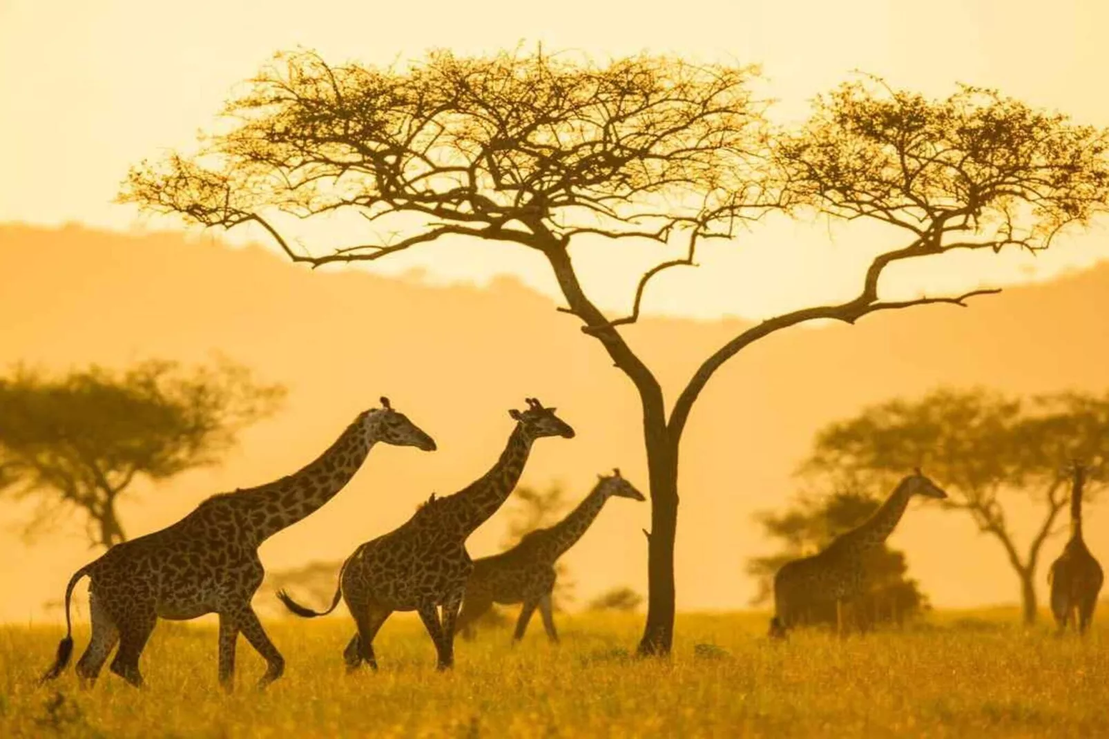 5 sterren vakantie huis in Nakskov-Buitenlucht