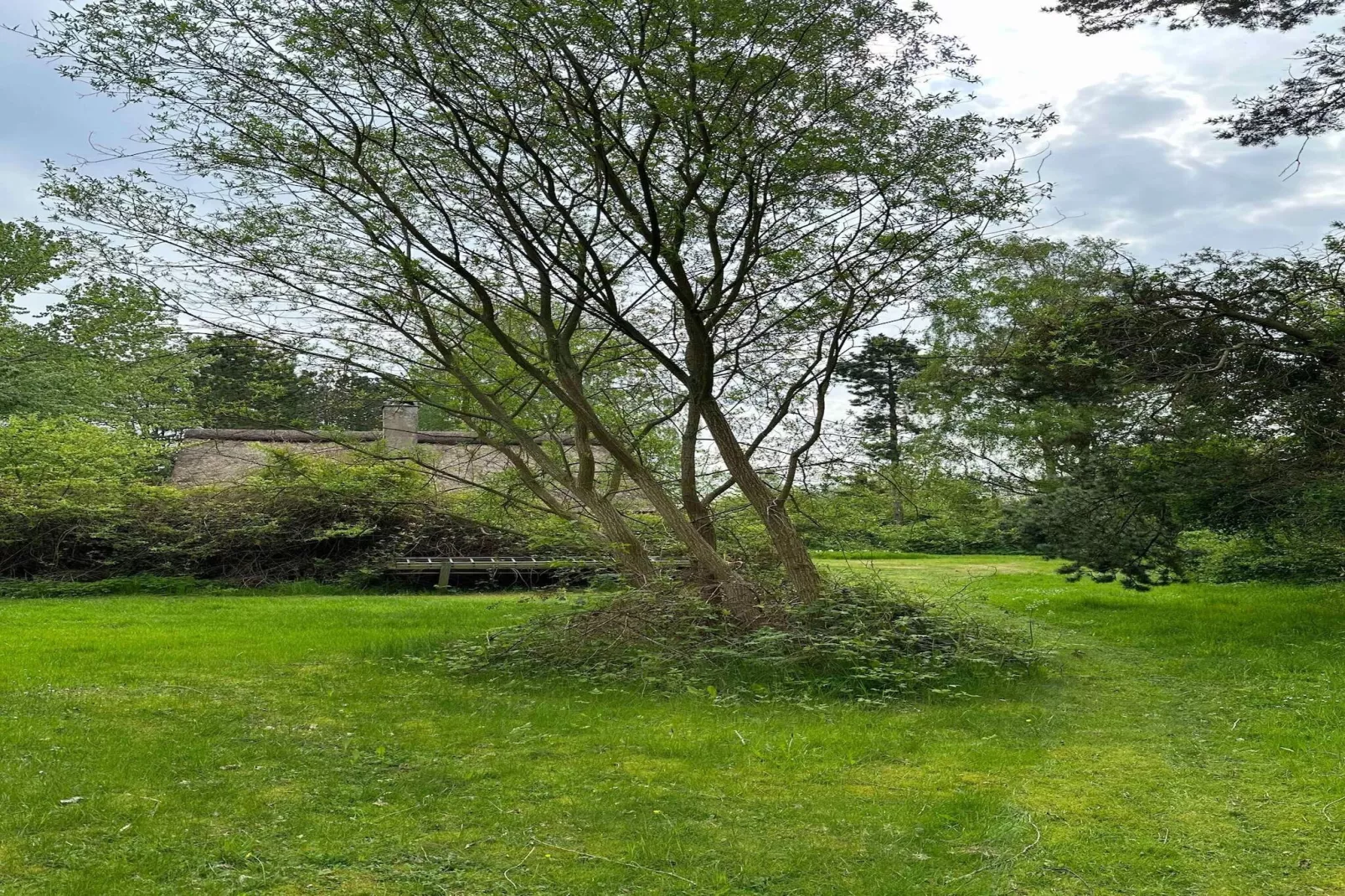 5 sterren vakantie huis in Knebel-Buitenlucht