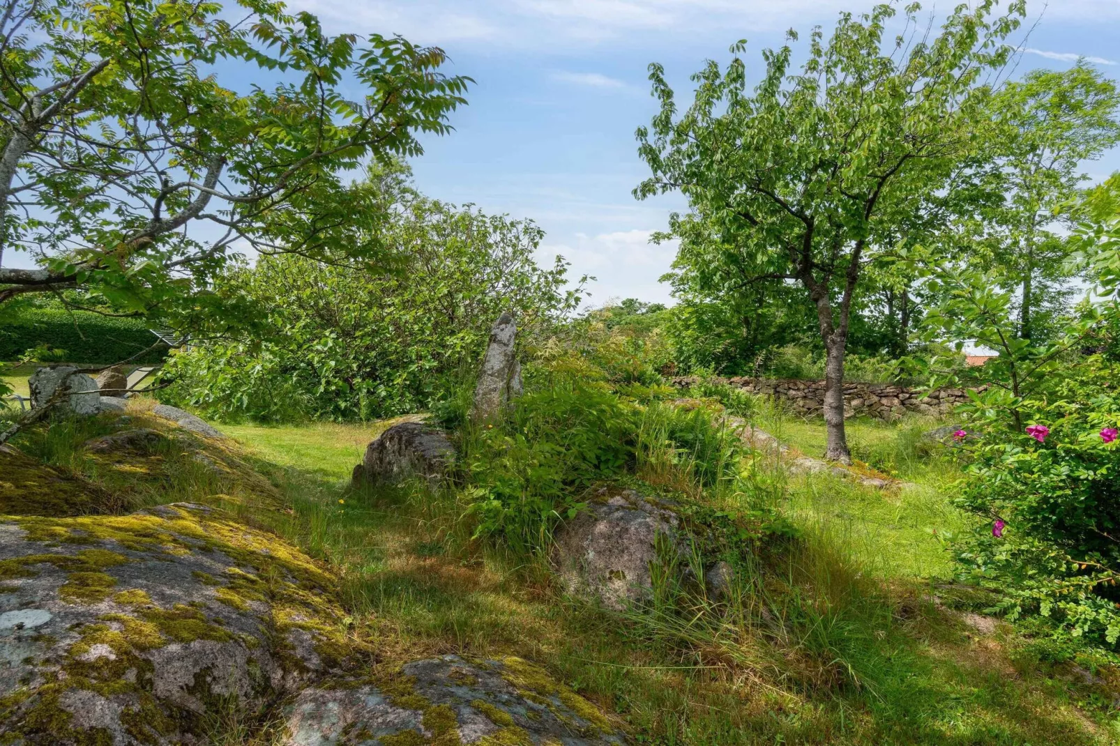 5 sterren vakantie huis in Allinge-Buitenlucht