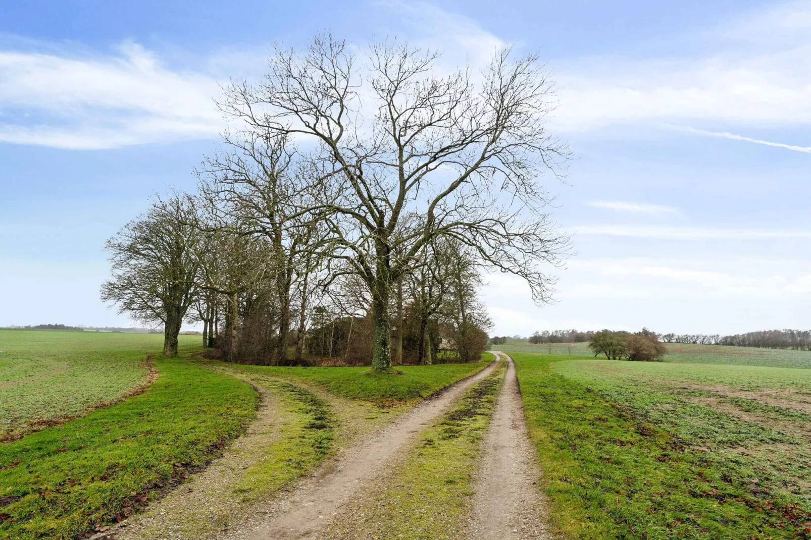 5 sterren vakantie huis in Holbæk-Niet-getagd