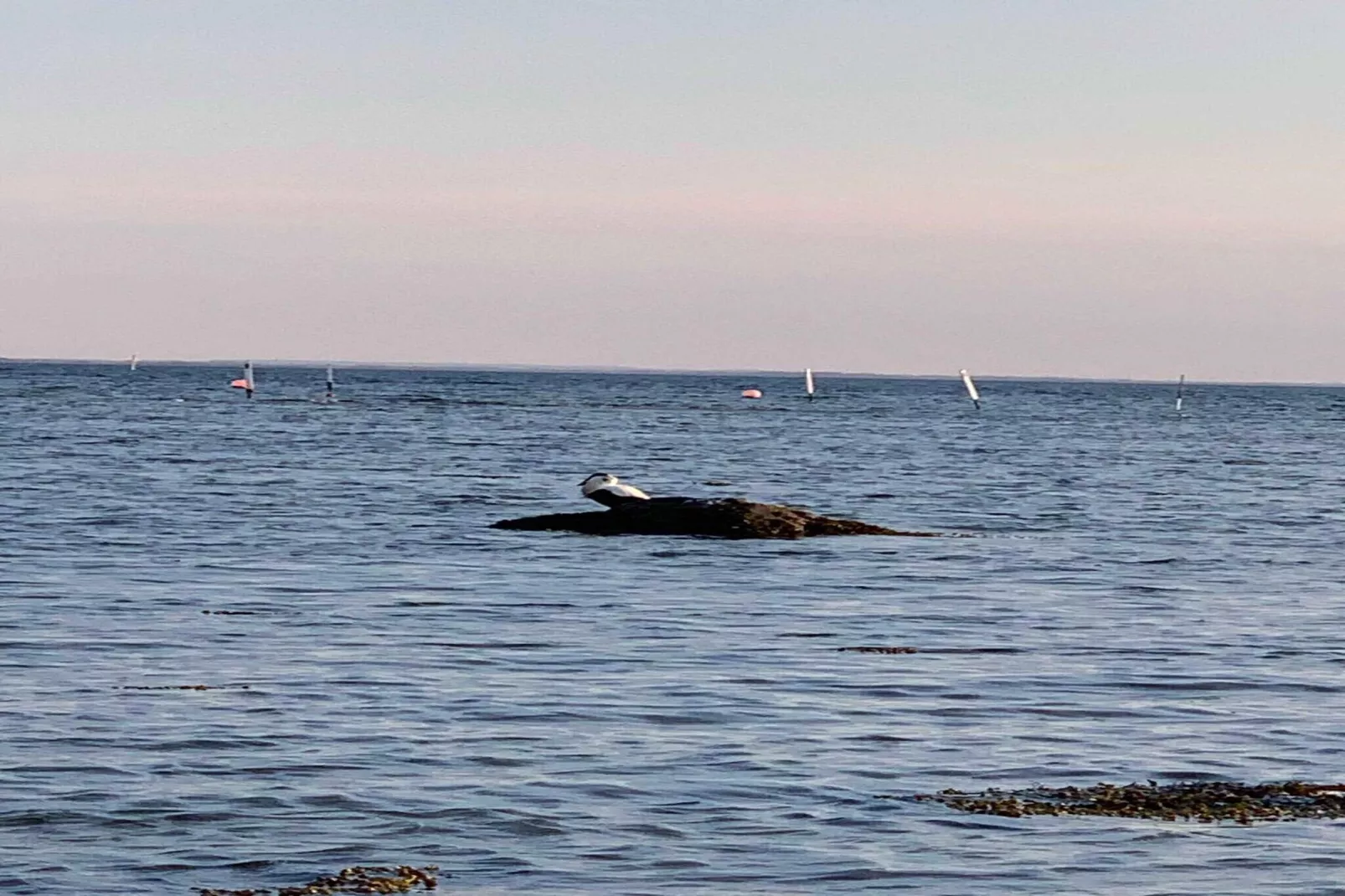 6 Personen vakantie huis in Jægerspris-Waterzicht