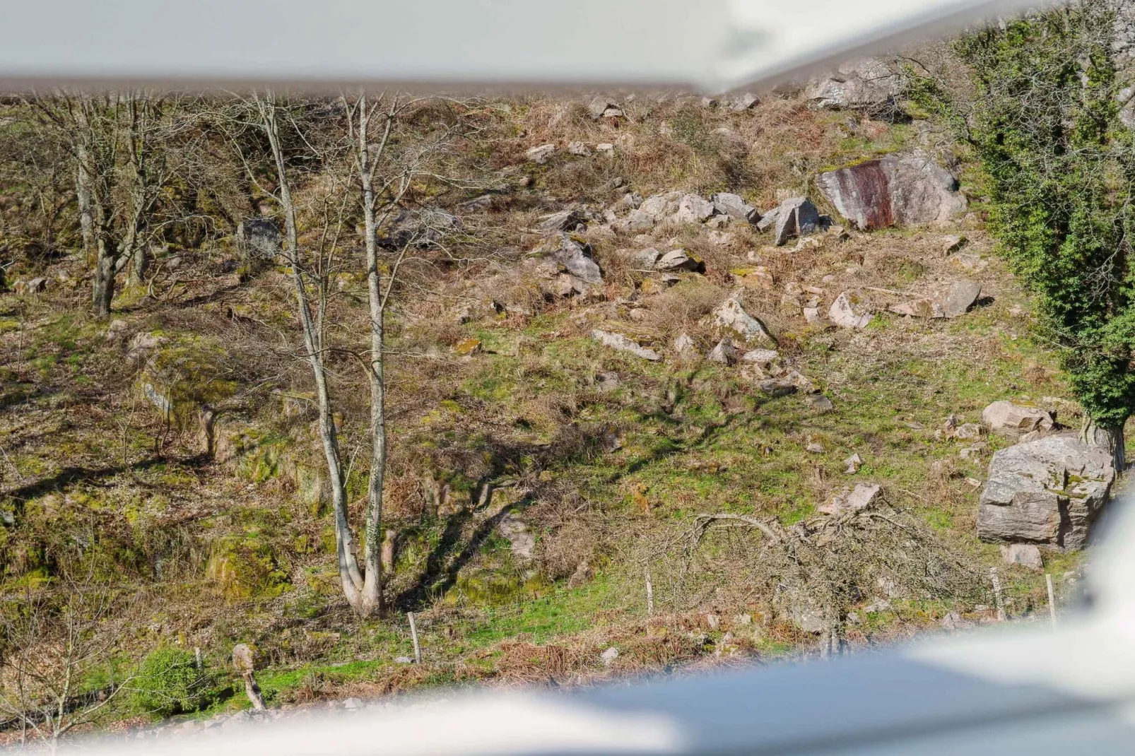 5 sterren vakantie huis in Allinge-Buitenlucht