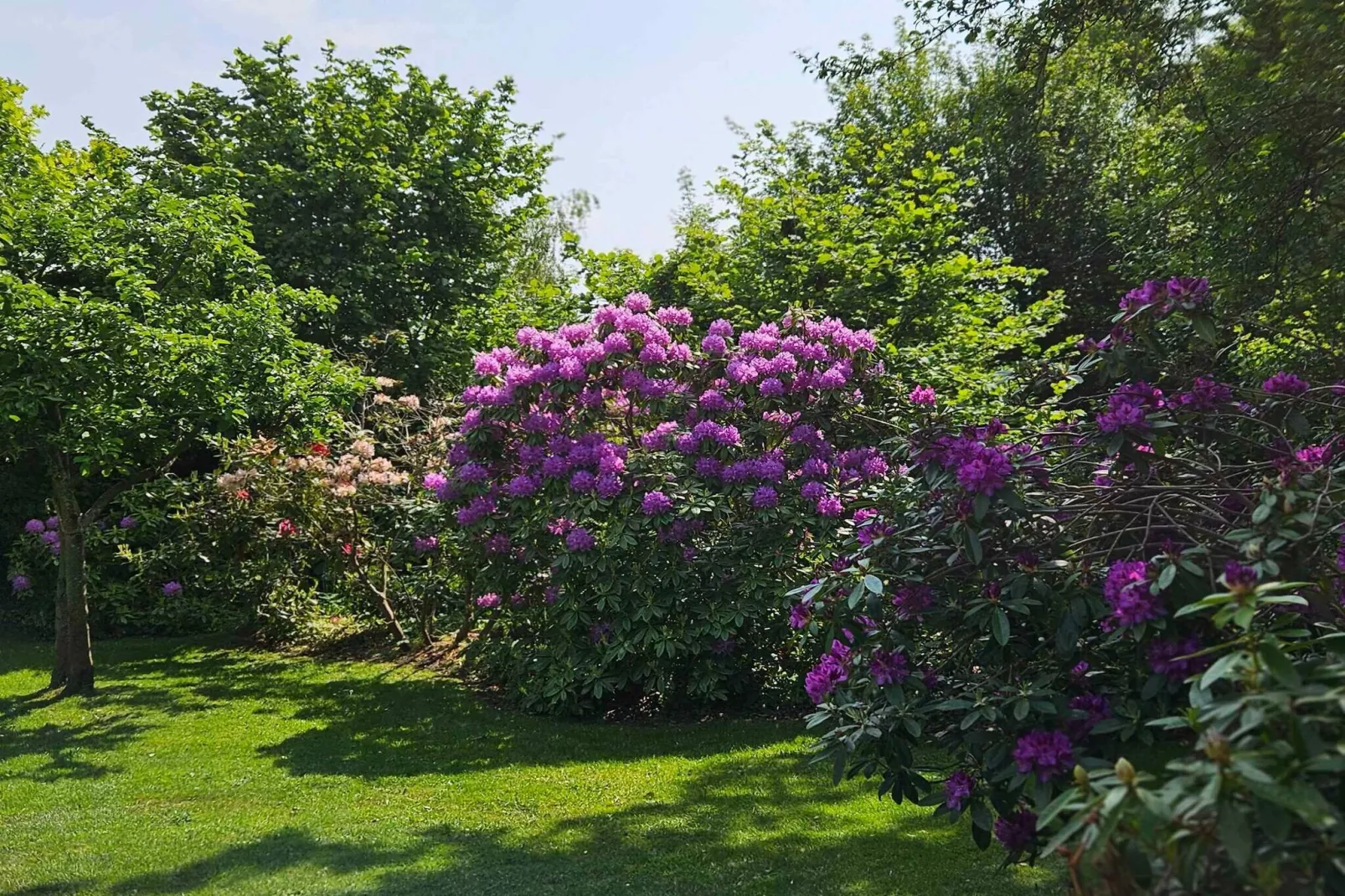 4 sterren vakantie huis in Asnæs-Buitenlucht