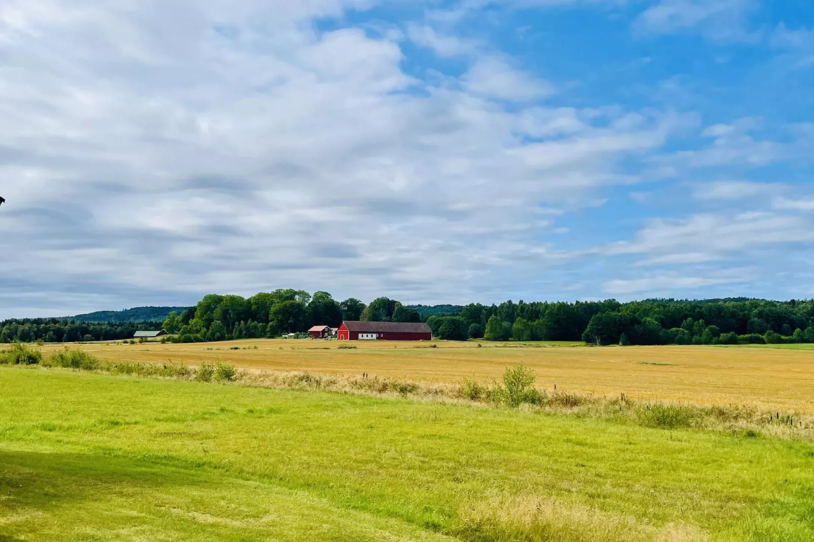 Gezinsvakantiehuis in Dalsland, Zweden-Buitenlucht