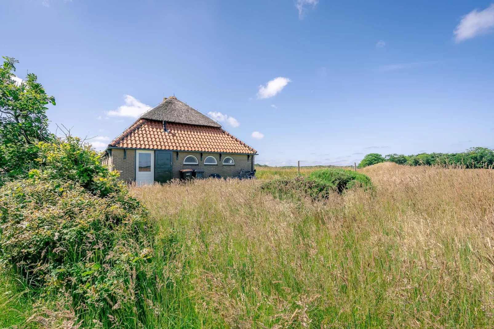 De Boet Waalenburg-Buitenkant zomer