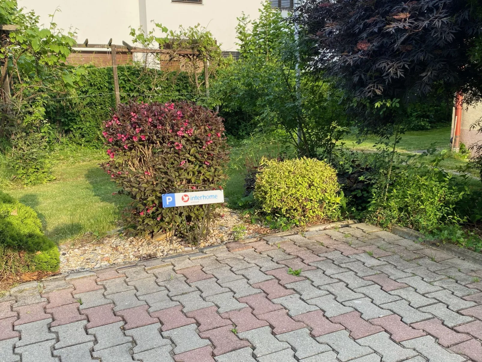 W Starym Sadzie-Buiten