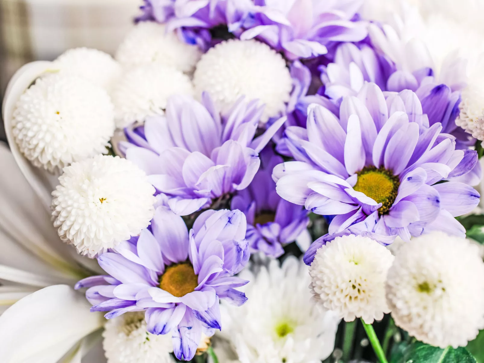 Bunloit Farmhouse-Binnen