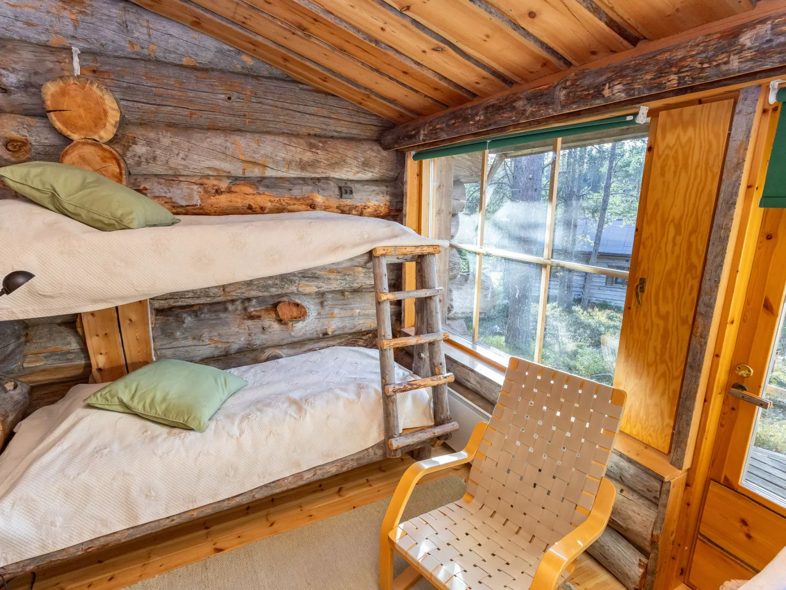 Rukan kelohuvila-Binnen