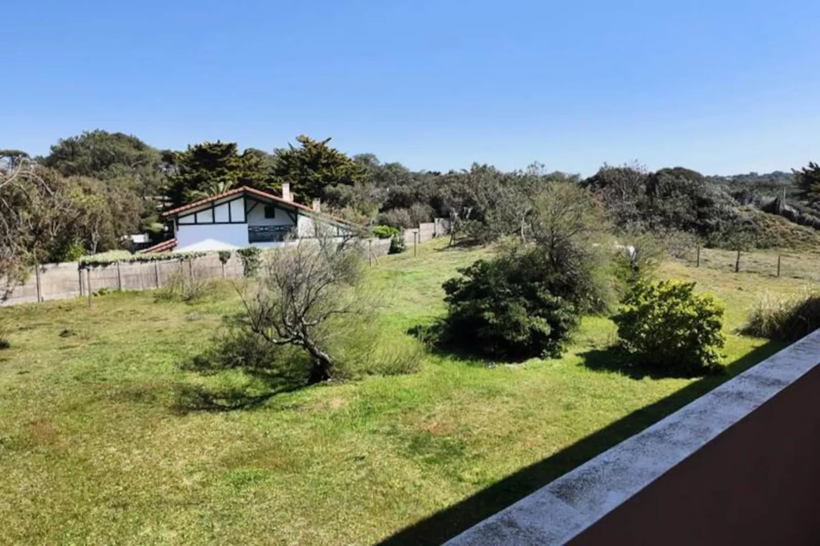 Les Semis-Niet-getagd