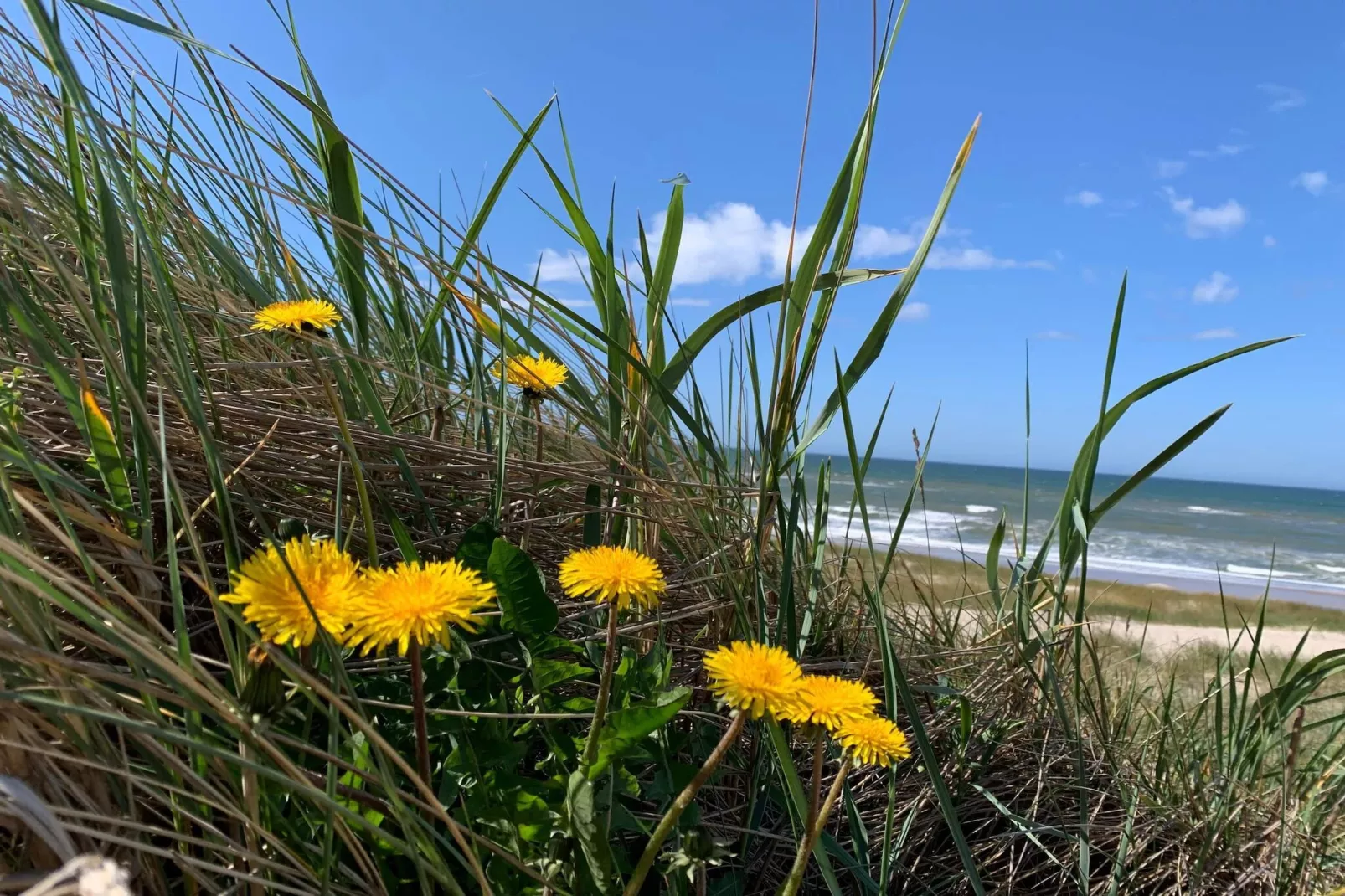 Kustsereniteit in Bjerregard-By Traum-Waterzicht