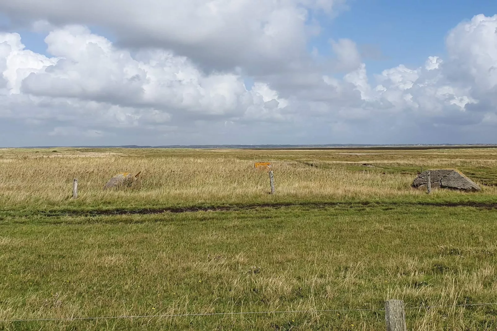 4 persoons vakantie huis in Oksbøl-Niet-getagd